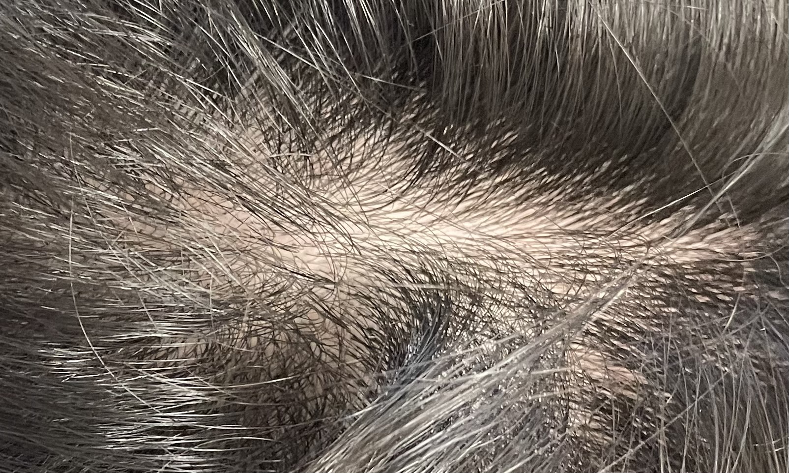 デブ狂四郎 ブルマー